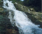 长泰今天天气